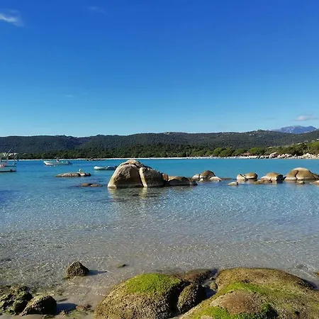 Duplex Cala Sultana Appartement Porto-Vecchio (Corsica)